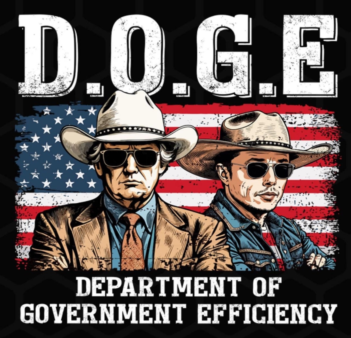 D.O.G.E. Department of Government Efficiency DTF transfer