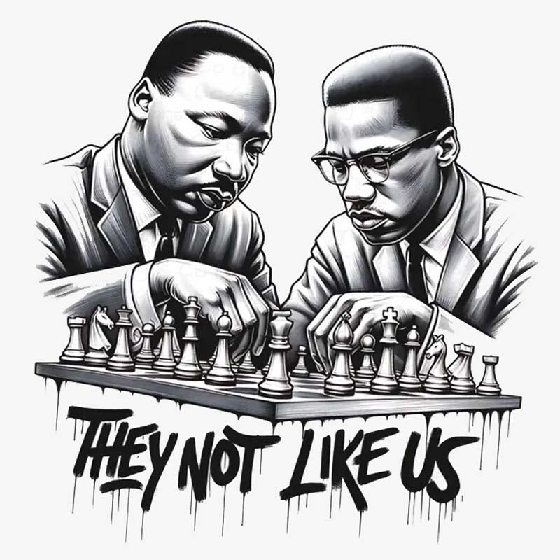 They Not Like Us MLK and Malcom X DTF Transfer